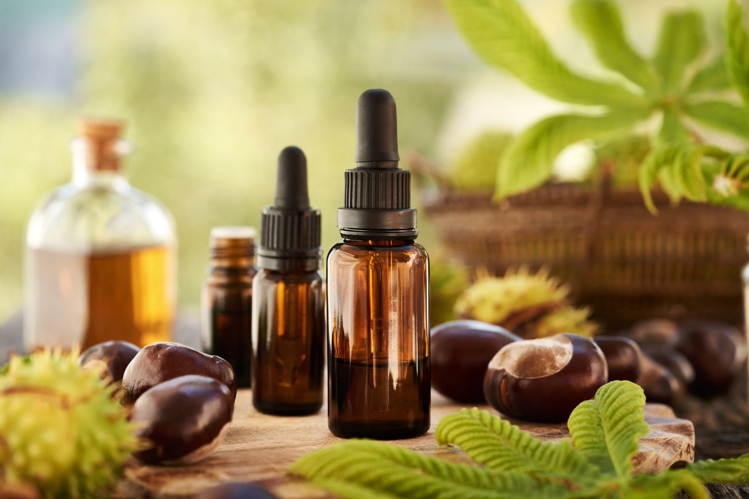 ekstrakt divljeg kestena