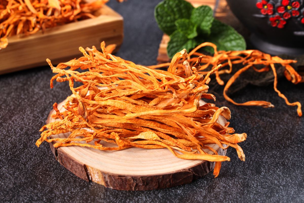 Kako cordyceps štiti pluća