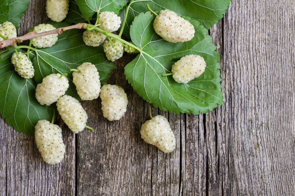 Dijabetes tip 2 pod kontrolom