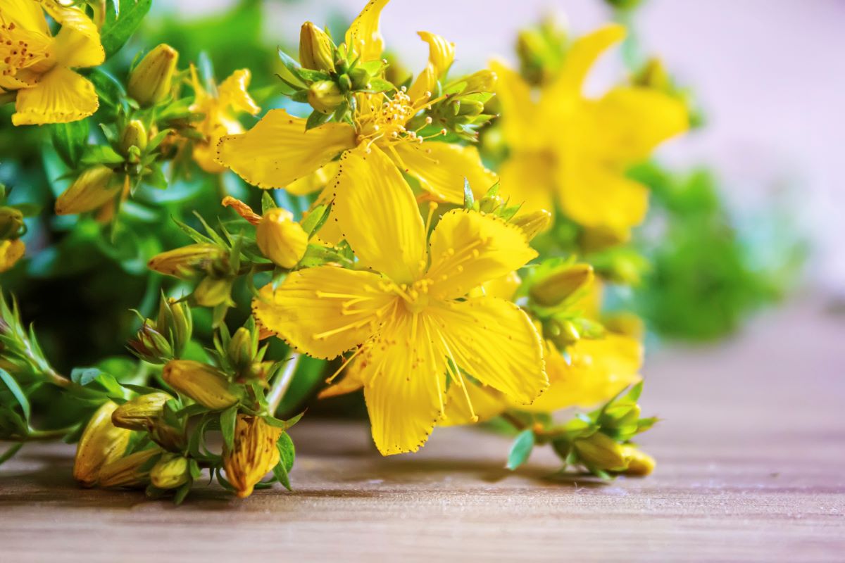 Prirodni lekovi za išijas: Pomoći će vam obloge i čajevi