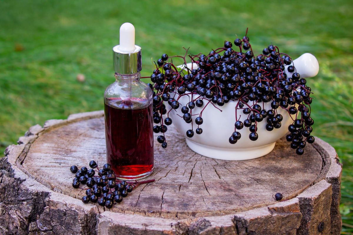 bobice zove - povišena temperatura