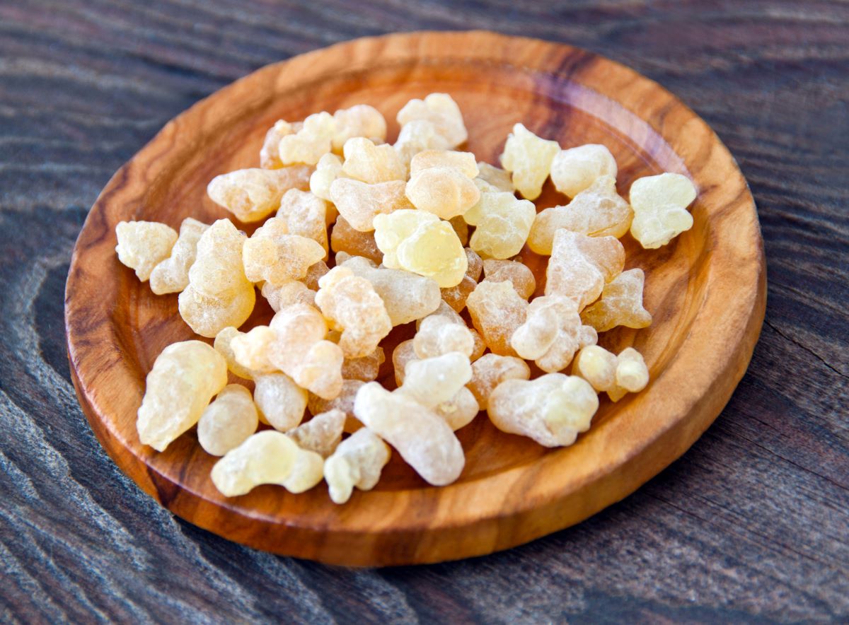 Boswellia serrata (indijski tamjan)