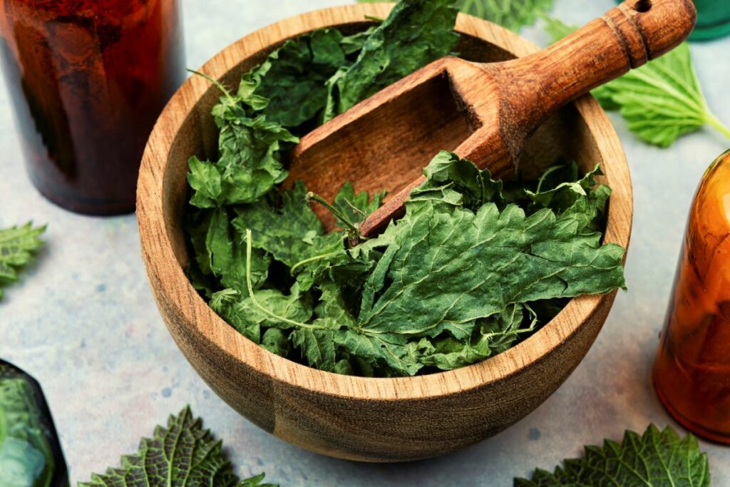 Kopriva u prahu - zeleni eliksir zdravlja