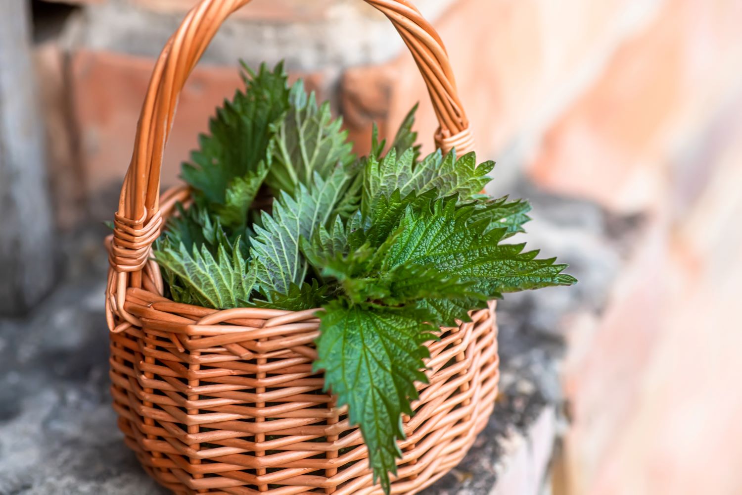 Prirodni lekovi za alergiju na polen