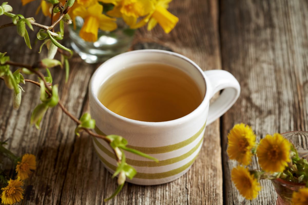 Podbel i kordiceps protiv astme