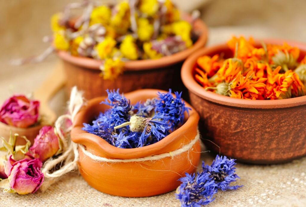 Biljna parna kupka za lice