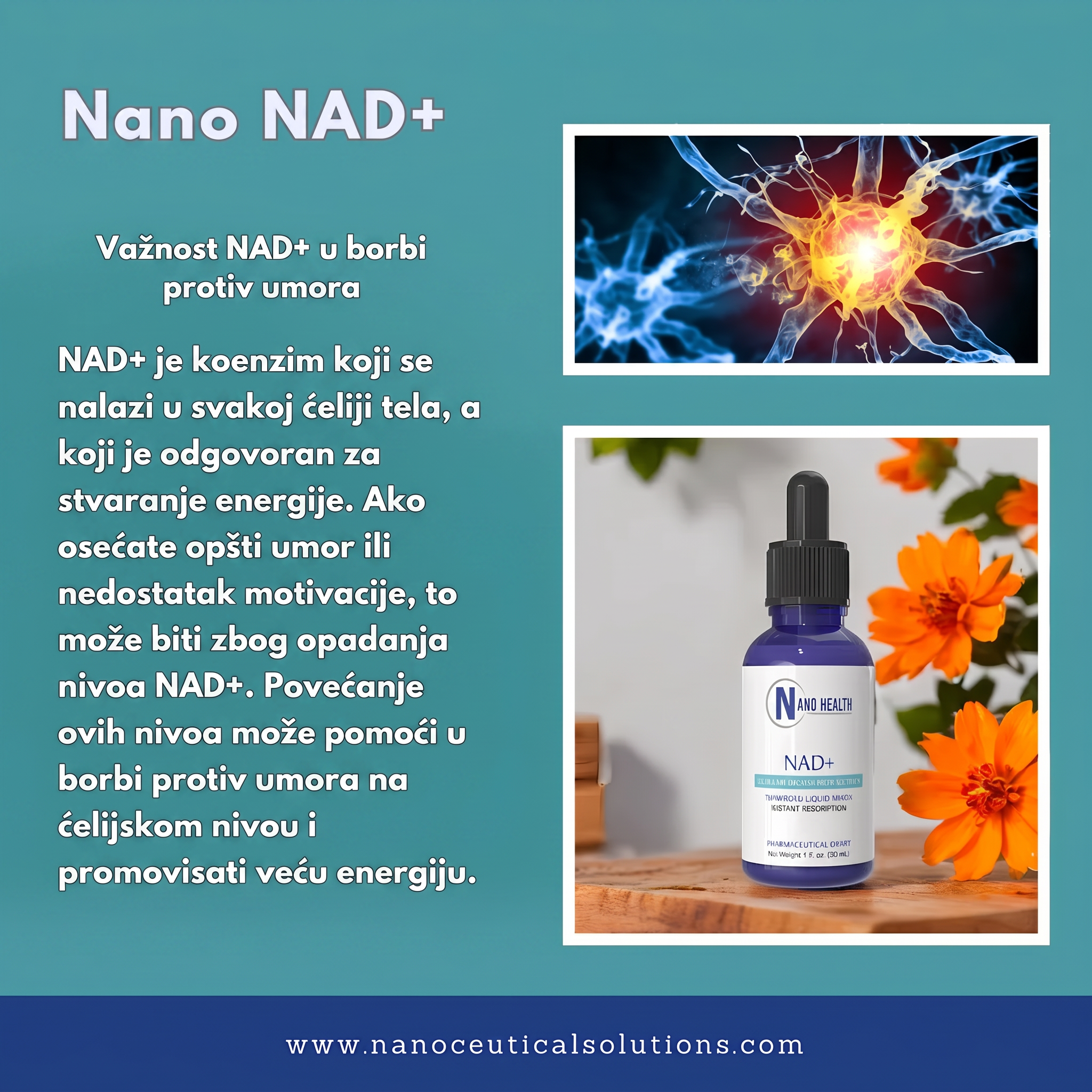 Nano-NAD-znacaj-za-organizam