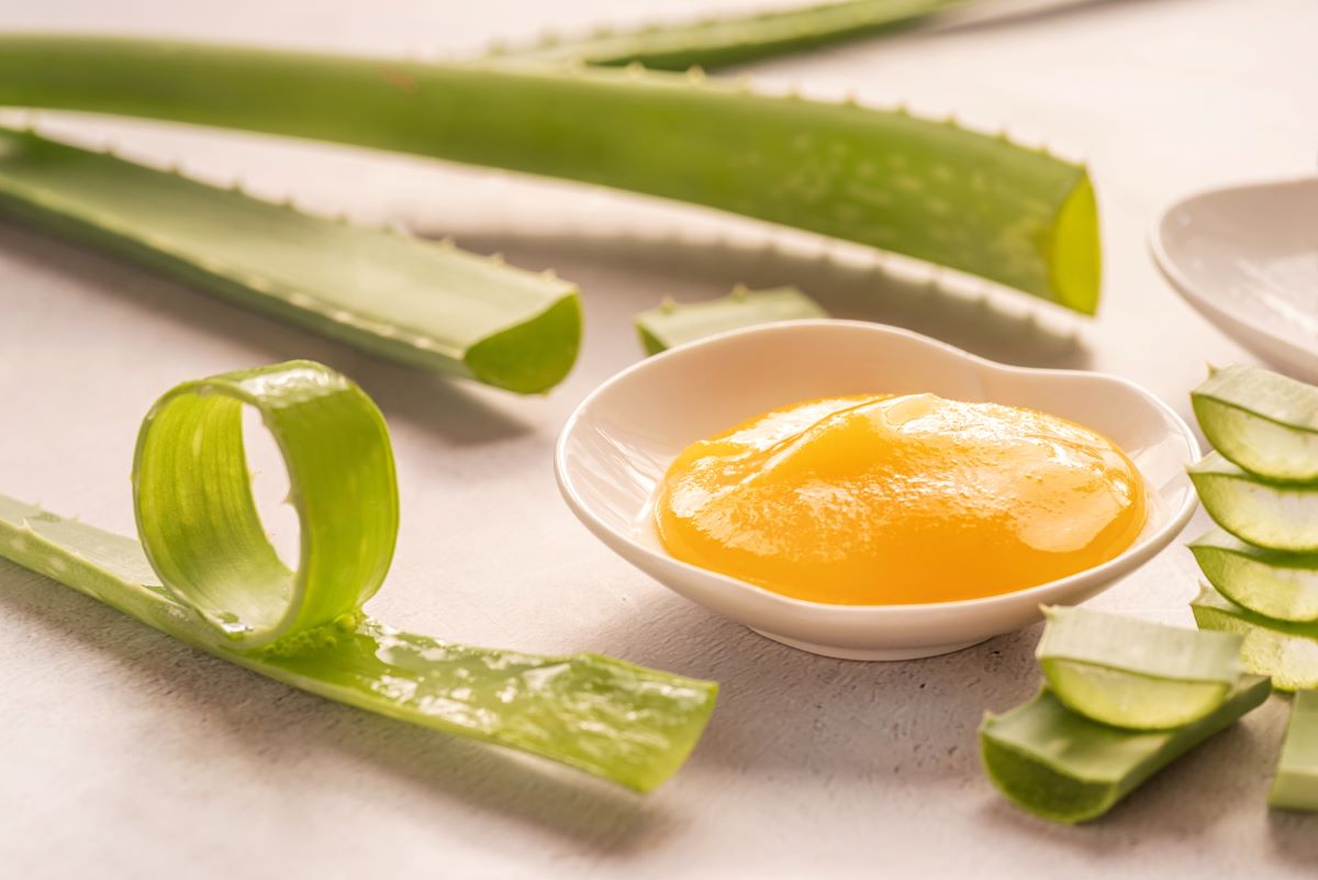 Manuka med i aloja najbolji su prirodni lekovi za afte 