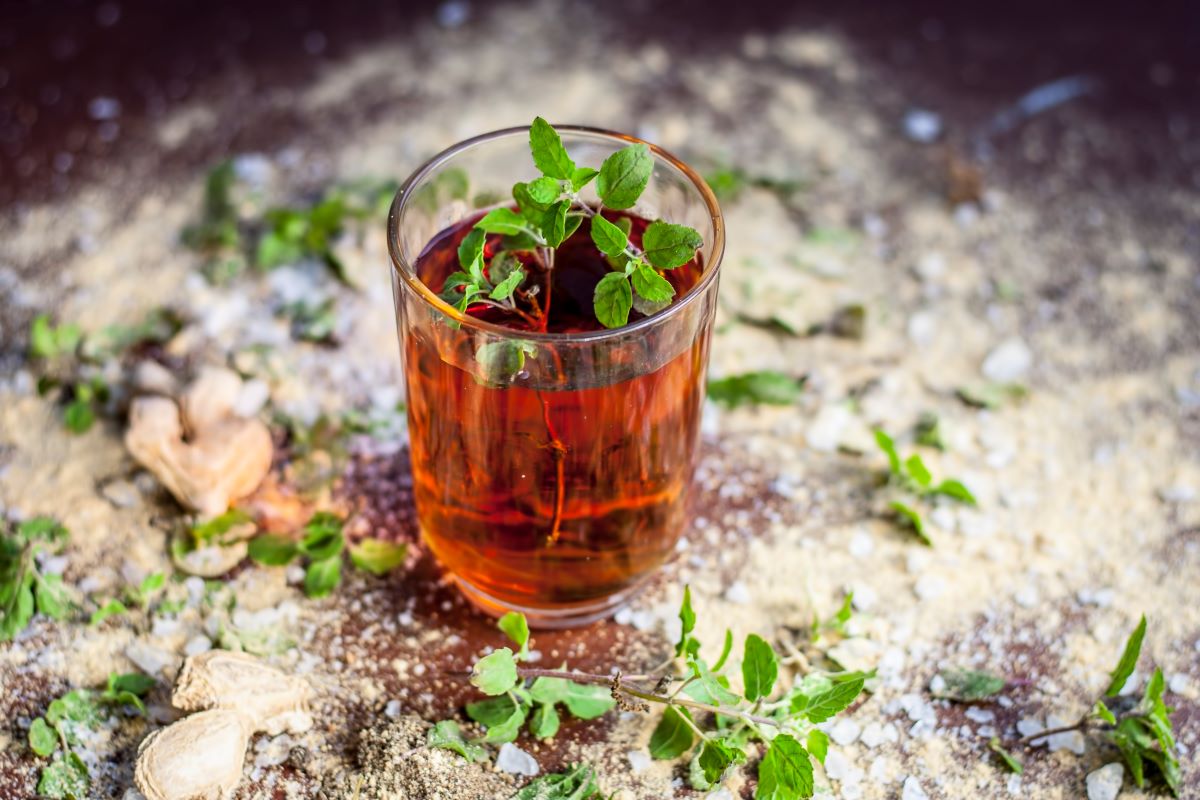 sveti bosiljak (tulsi)